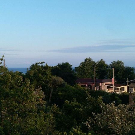 New Athos Guest House Nika מראה חיצוני תמונה